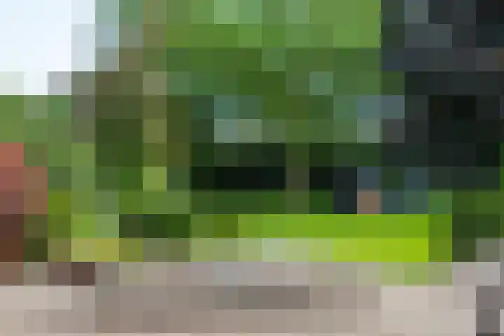 Loolaan 12 Doetinchem thumbnail 57