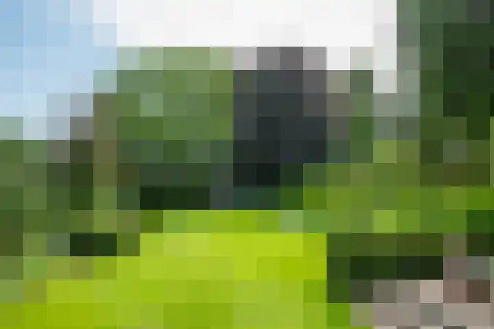 Loolaan 12 Doetinchem thumbnail 58