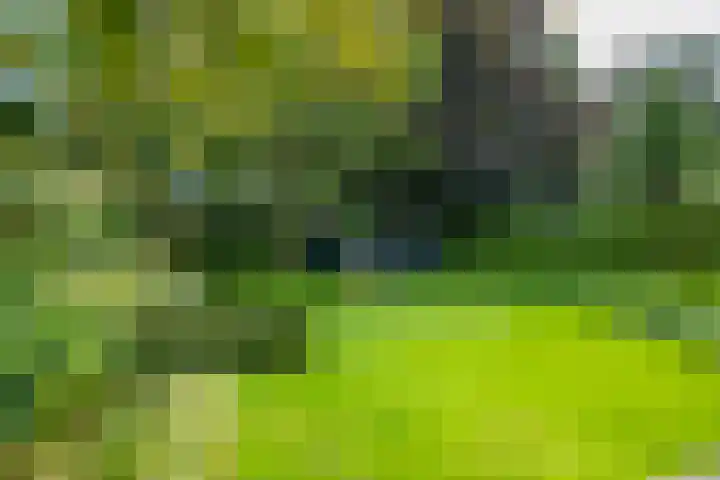 Loolaan 12 Doetinchem thumbnail 59