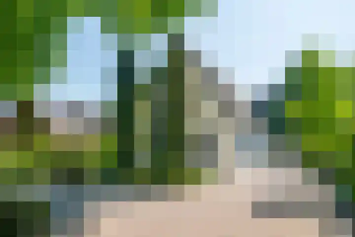 Loolaan 12 Doetinchem thumbnail 6