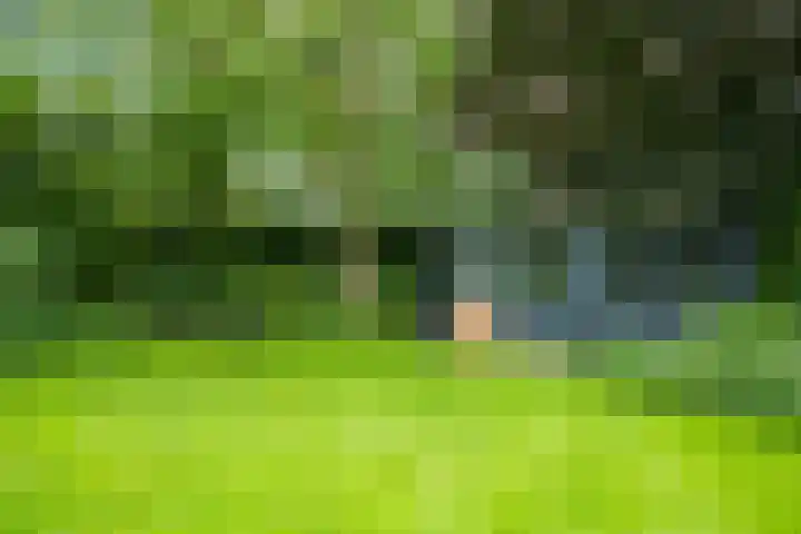 Loolaan 12 Doetinchem thumbnail 60