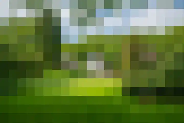 Loolaan 12 Doetinchem thumbnail 61