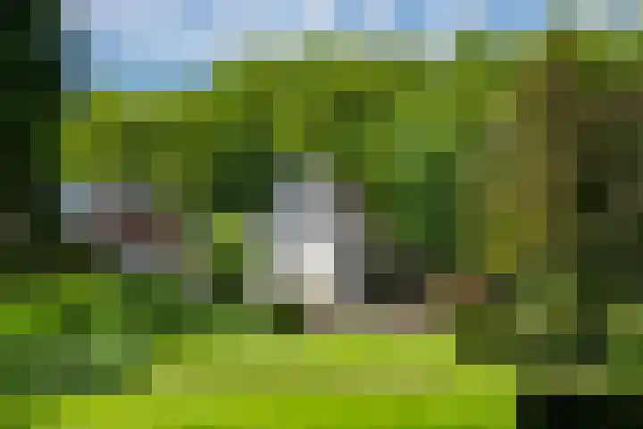 Loolaan 12 Doetinchem thumbnail 62
