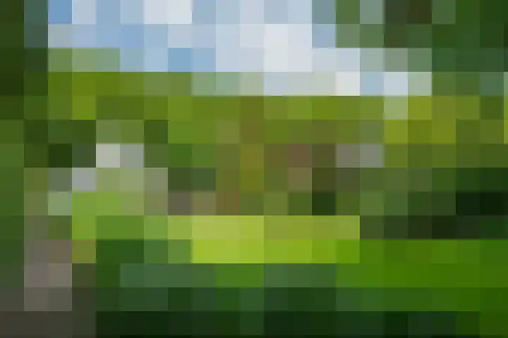 Loolaan 12 Doetinchem thumbnail 63