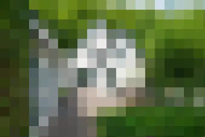 Loolaan 12 Doetinchem thumbnail 66