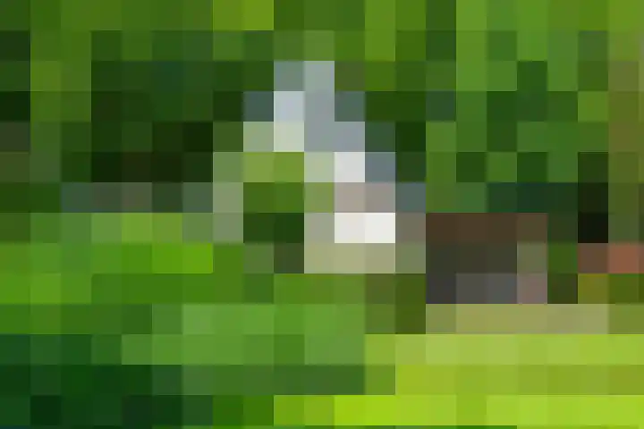Loolaan 12 Doetinchem thumbnail 67