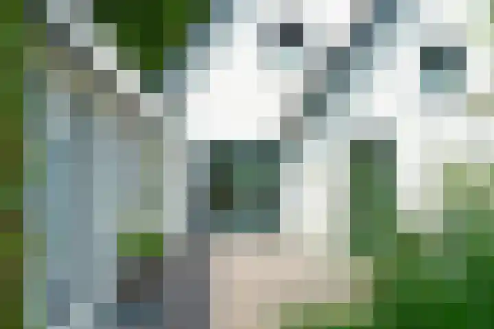 Loolaan 12 Doetinchem thumbnail 70