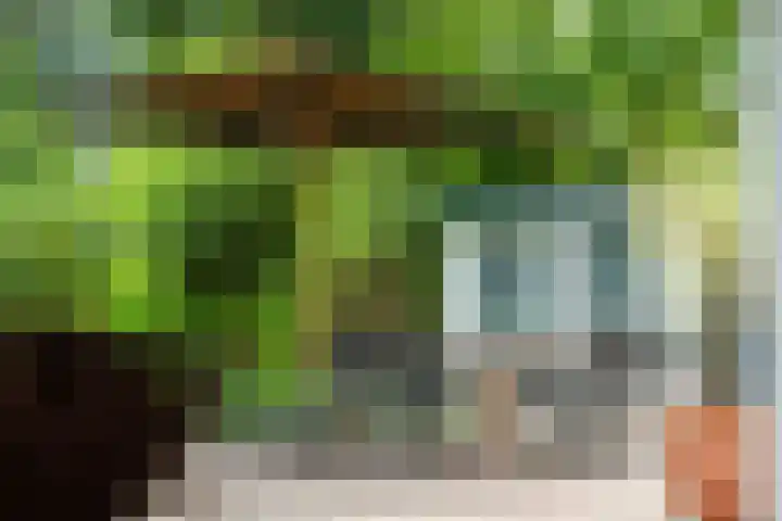 Loolaan 12 Doetinchem thumbnail 72