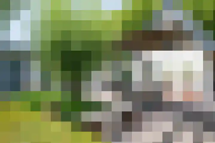 Loolaan 12 Doetinchem thumbnail 73