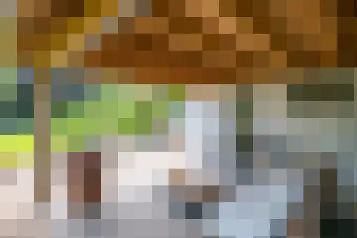 Loolaan 12 Doetinchem thumbnail 77