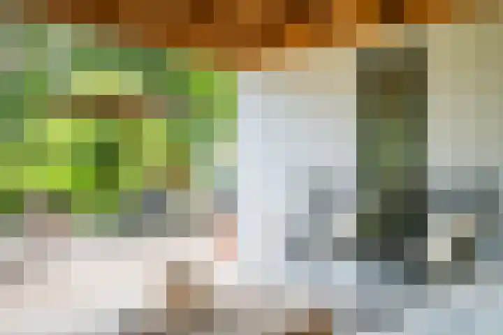 Loolaan 12 Doetinchem thumbnail 78
