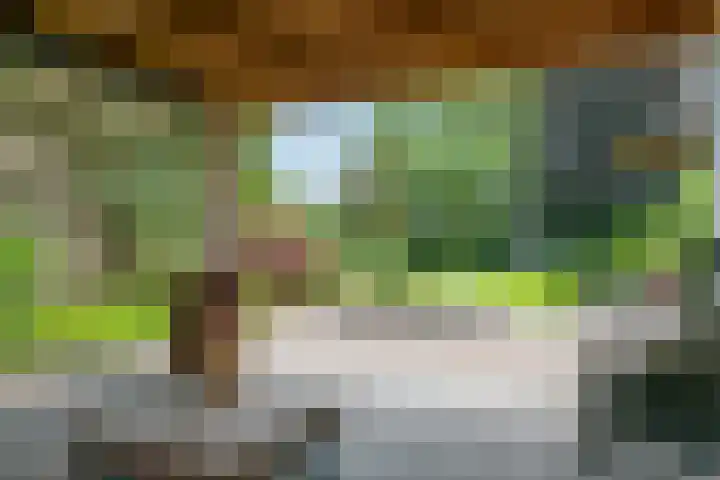 Loolaan 12 Doetinchem thumbnail 79