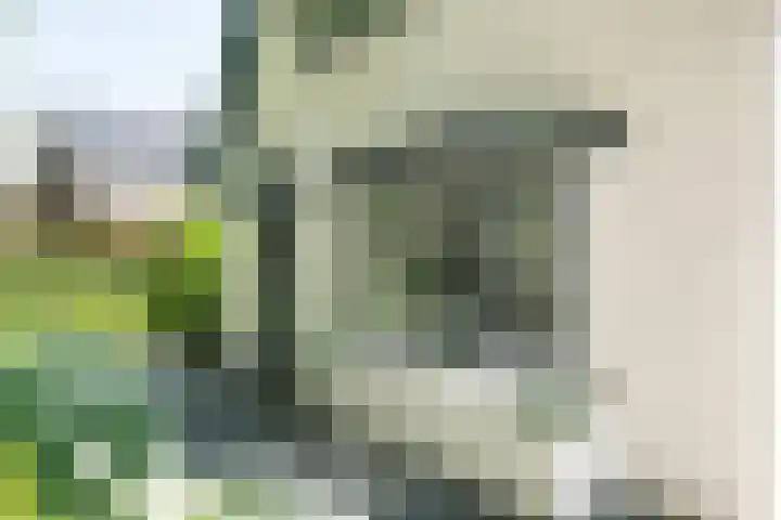 Loolaan 12 Doetinchem thumbnail 8