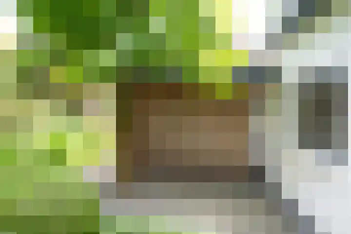 Loolaan 12 Doetinchem thumbnail 81