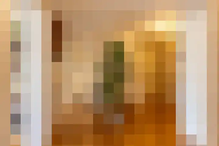 Loolaan 18 C Apeldoorn thumbnail 12
