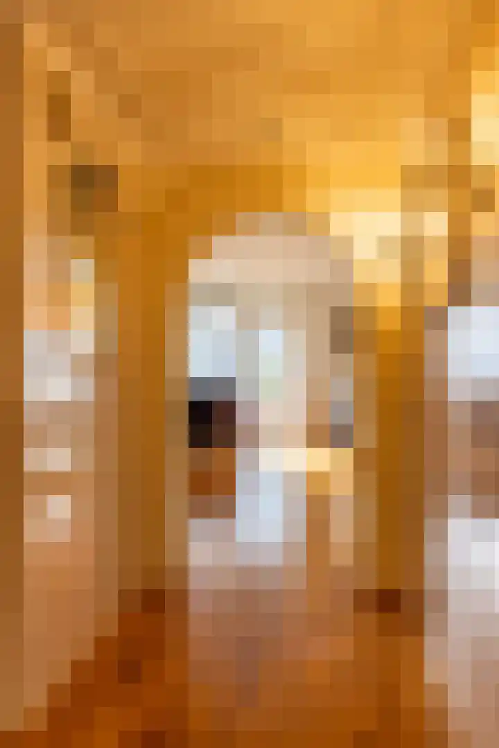 Loolaan 18 C Apeldoorn thumbnail 13