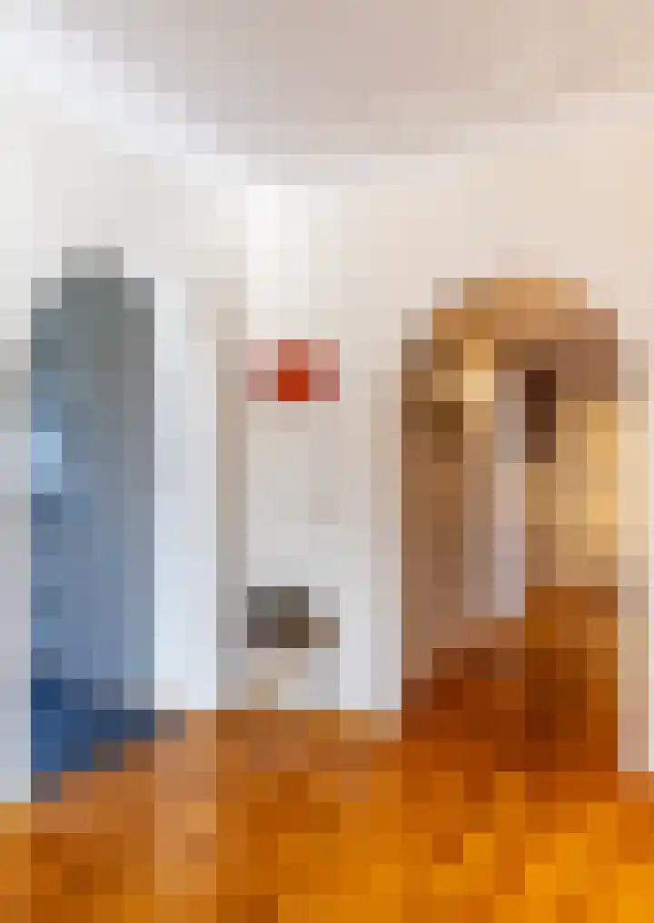 Loolaan 18 C Apeldoorn thumbnail 22