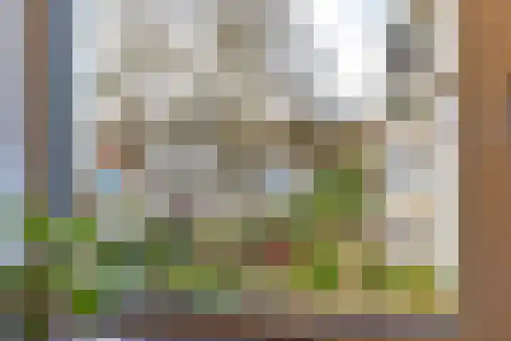 Loolaan 18 C Apeldoorn thumbnail 24