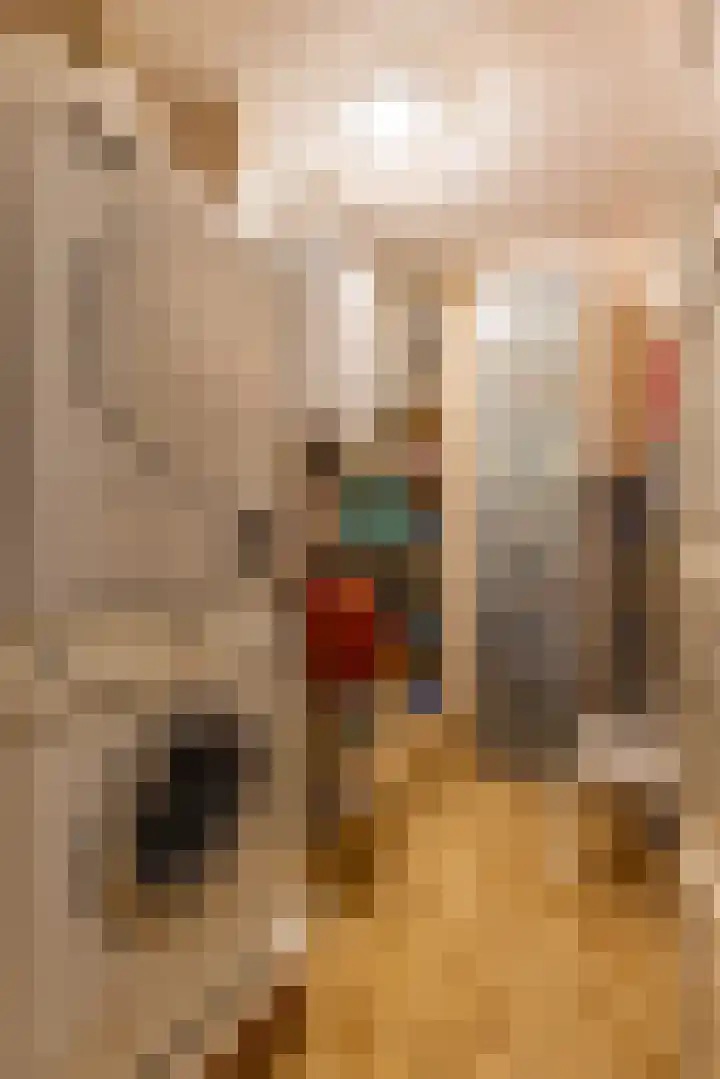 Loolaan 18 C Apeldoorn thumbnail 30
