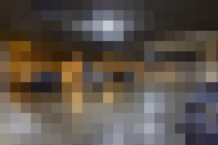 Loolaan 18 C Apeldoorn thumbnail 31
