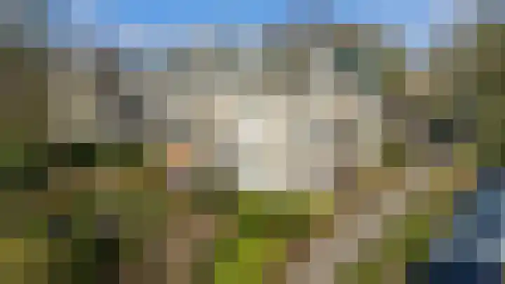 Loolaan 18 C Apeldoorn thumbnail 33