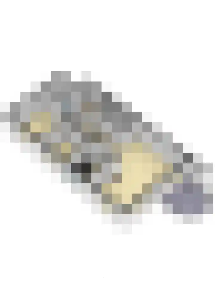Loolaan 18 C Apeldoorn thumbnail 36
