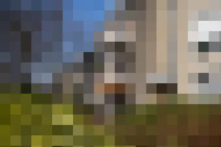 Loolaan 18 C Apeldoorn thumbnail 6