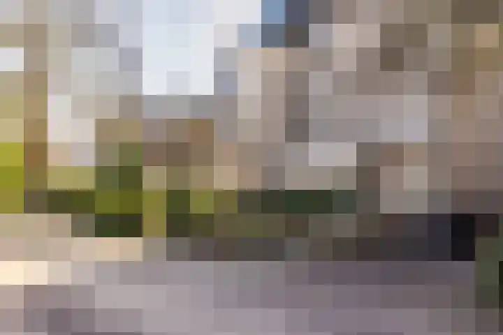 Loolaan 18 C Apeldoorn thumbnail 7