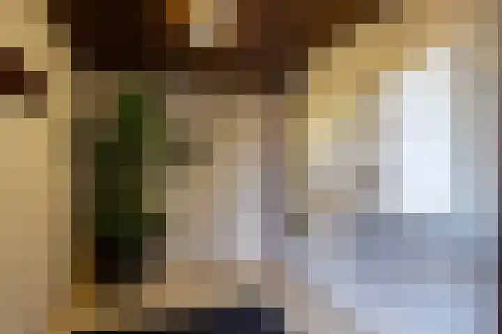 Loolaan 18 C Apeldoorn thumbnail 9