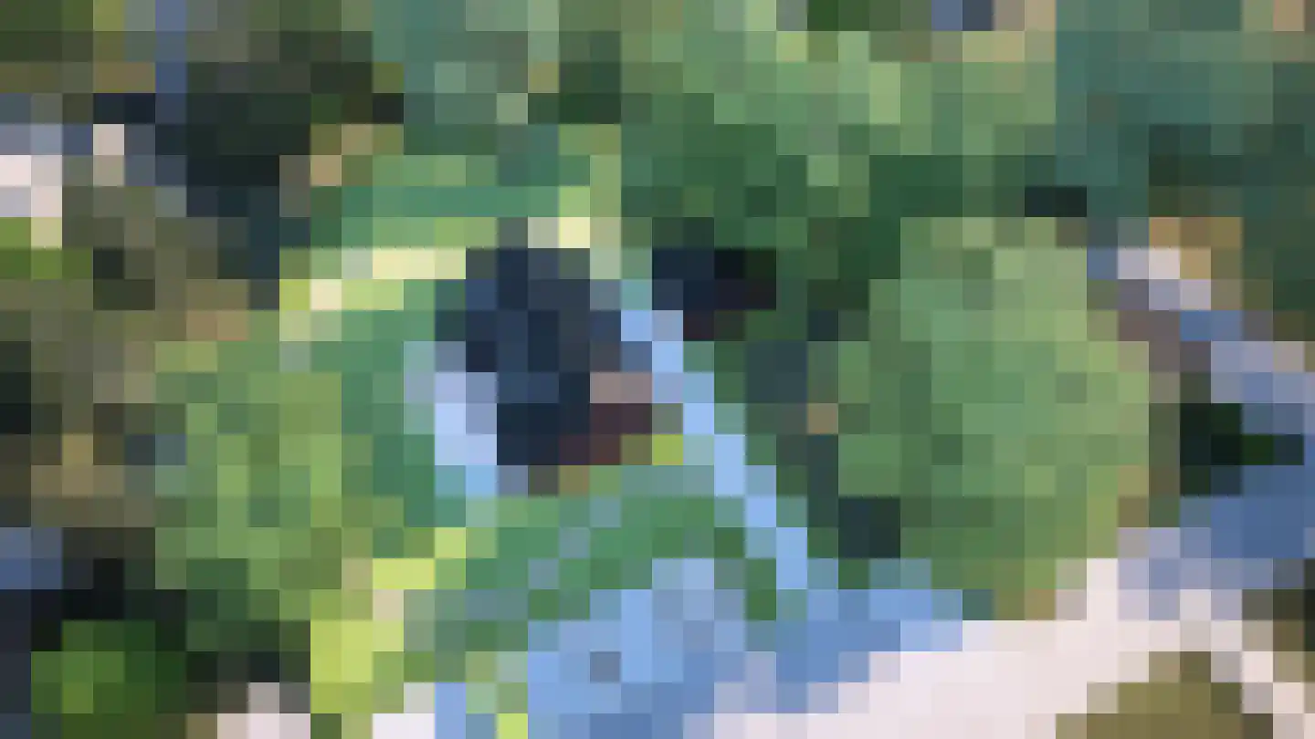 Loolaan 18 L Apeldoorn thumbnail 9