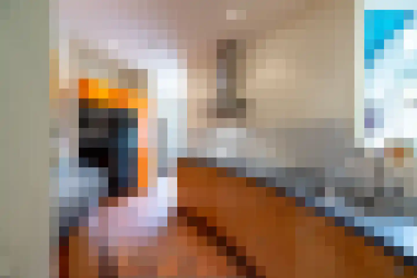 Loolaan 2 Doetinchem thumbnail 13