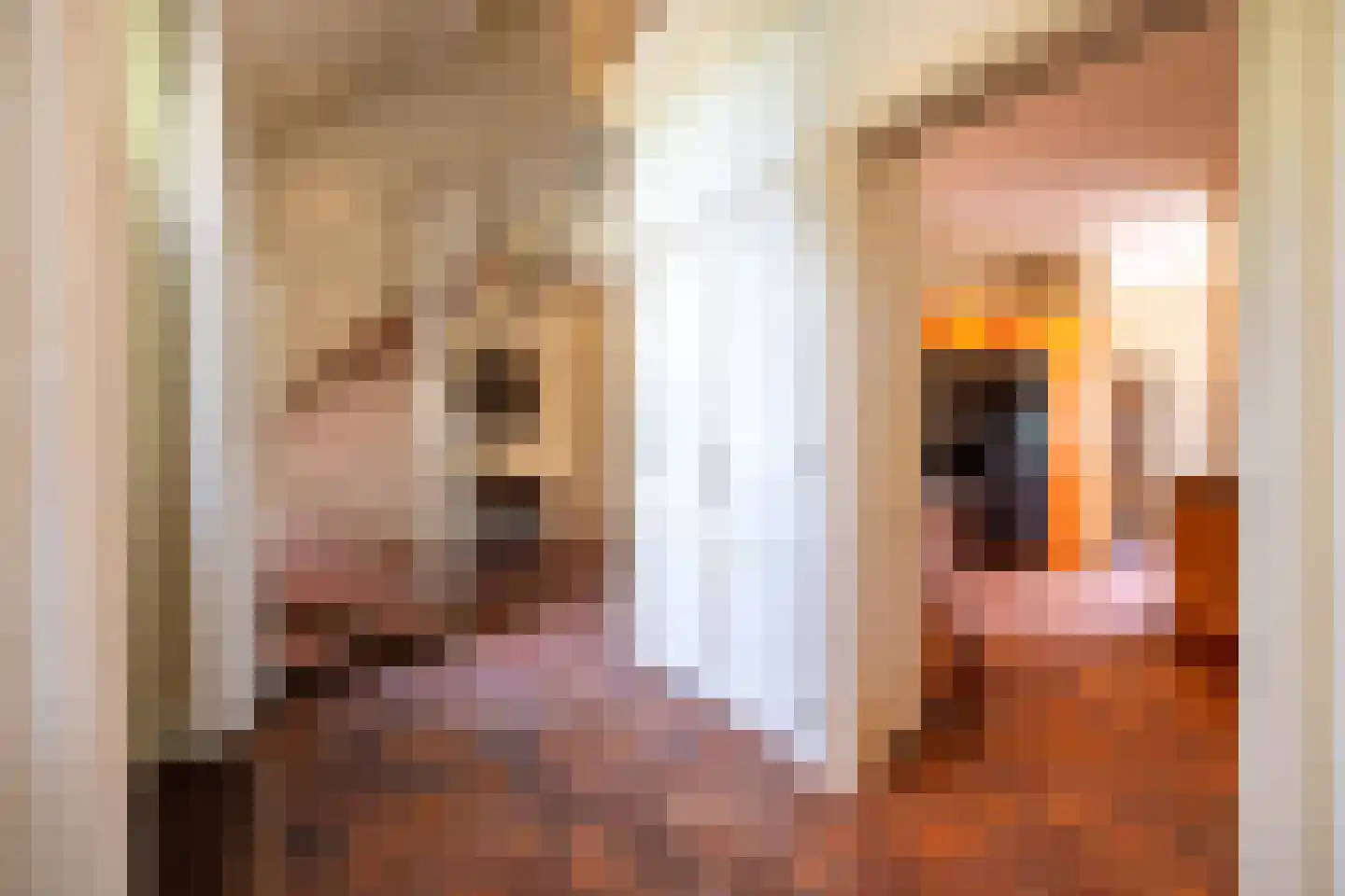 Loolaan 2 Doetinchem thumbnail 16