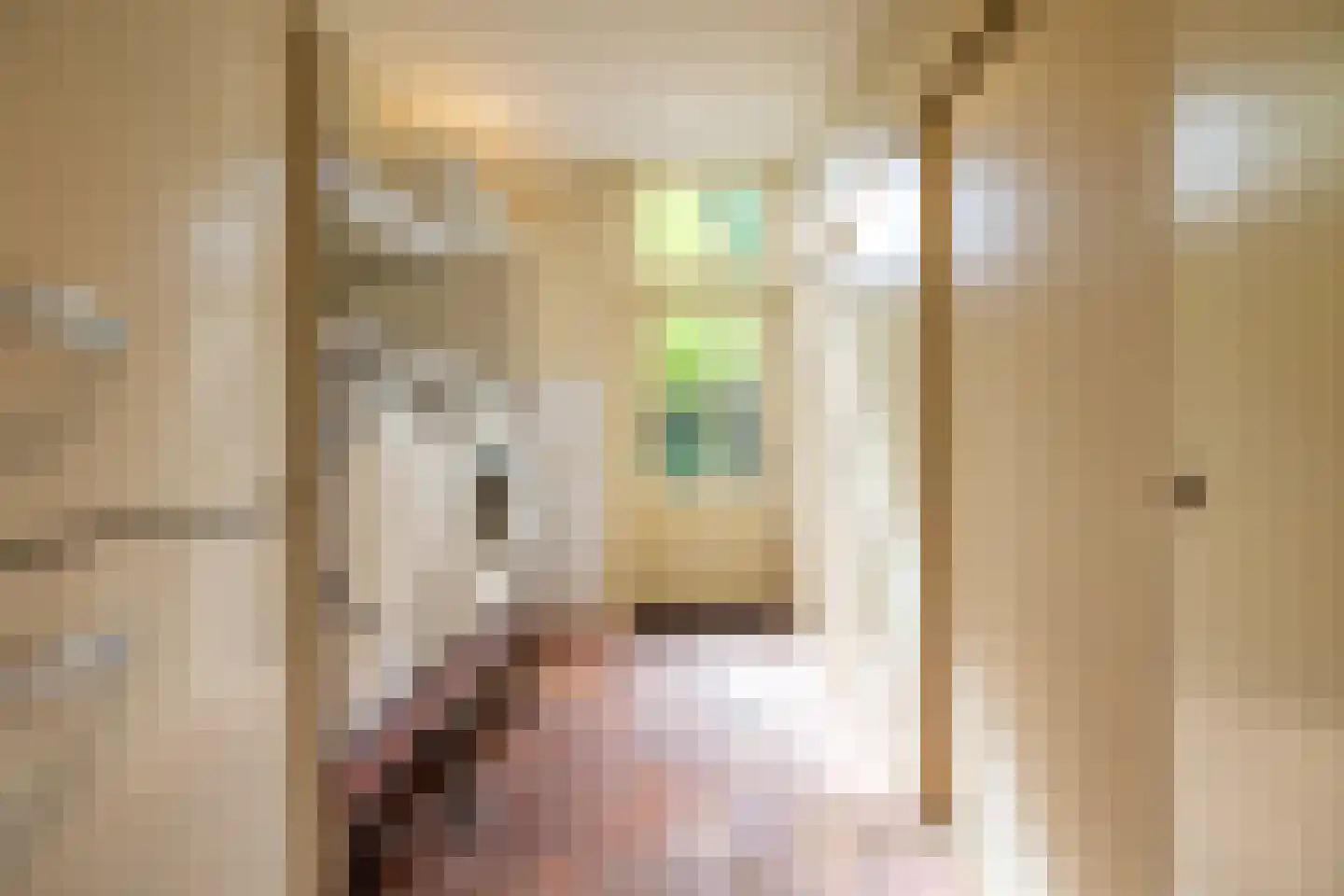 Loolaan 2 Doetinchem thumbnail 17