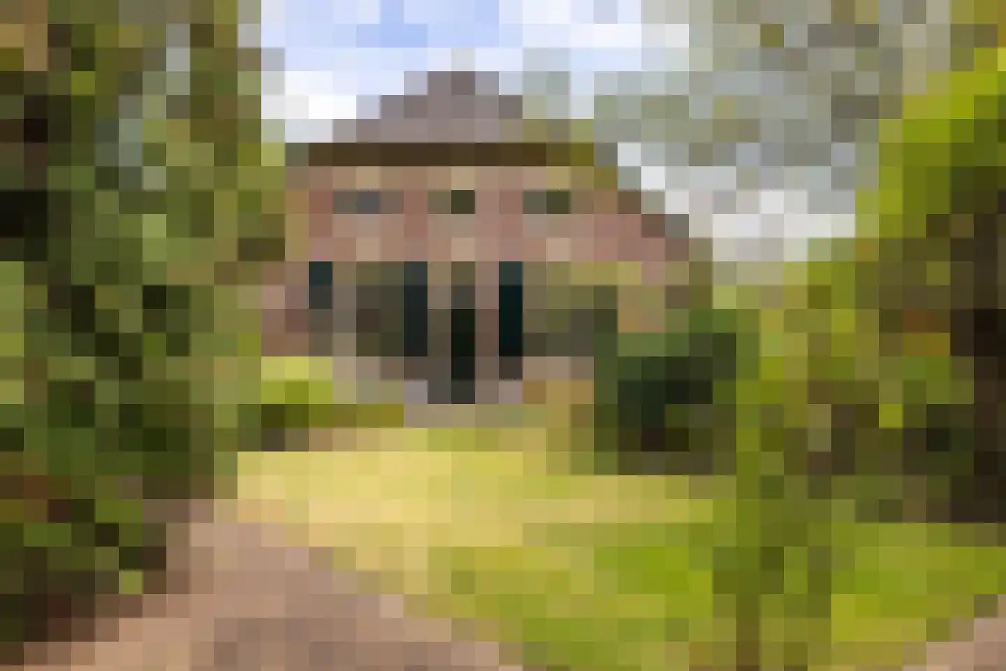 Loolaan 2 Doetinchem foto 2