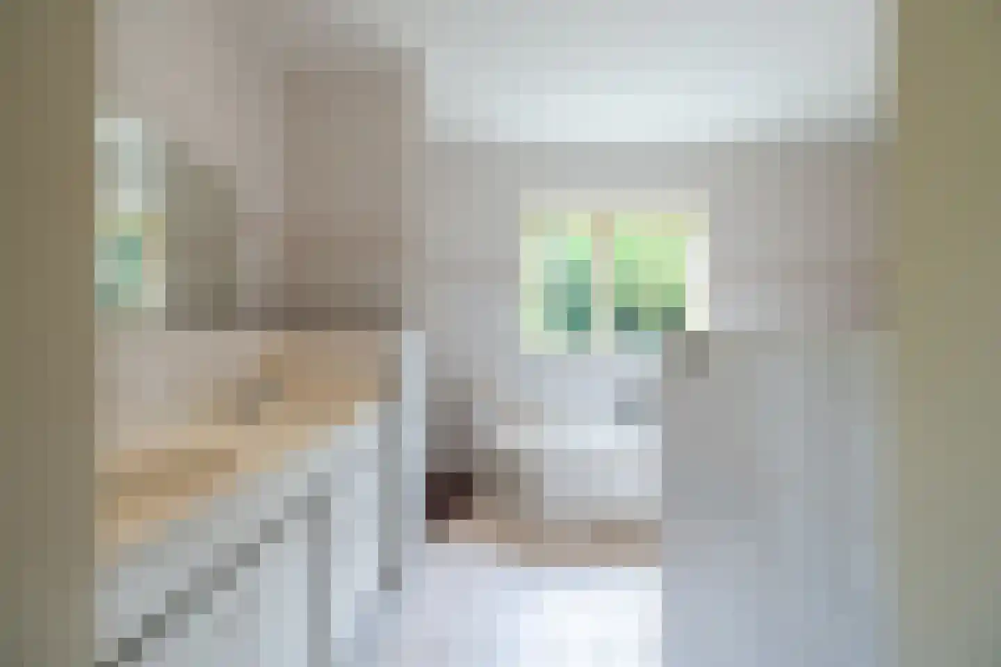 Loolaan 2 Doetinchem thumbnail 24