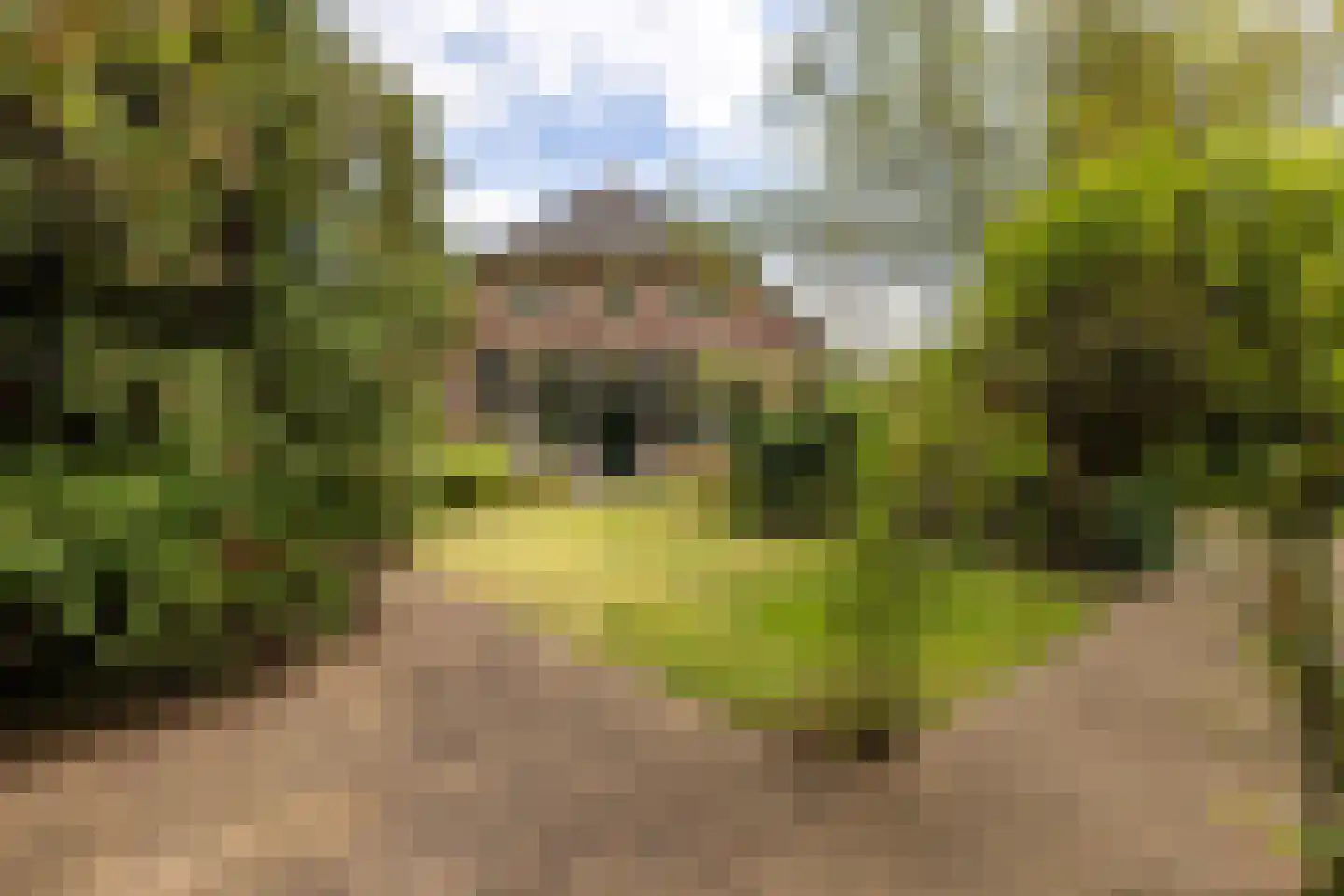 Loolaan 2 Doetinchem thumbnail 30