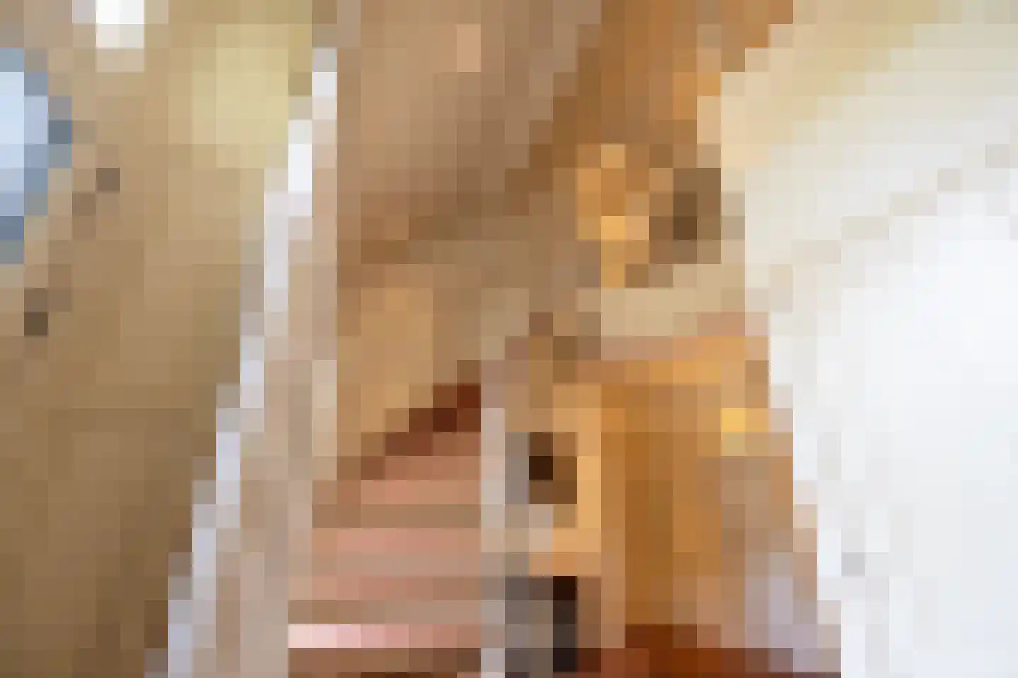 Loolaan 2 Doetinchem thumbnail 34