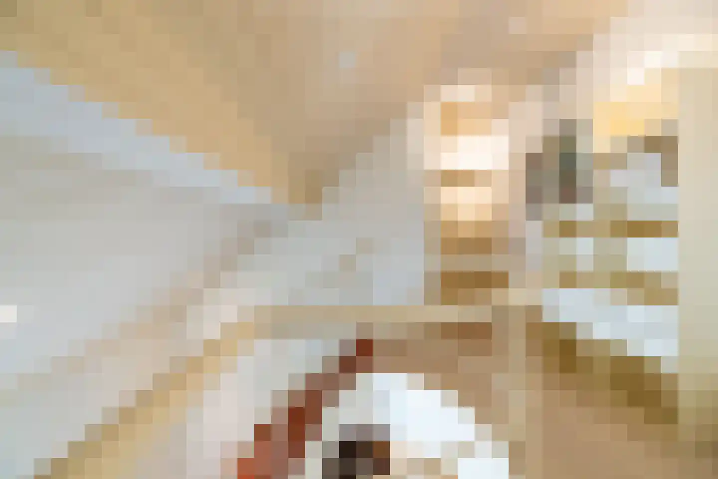 Loolaan 2 Doetinchem thumbnail 35