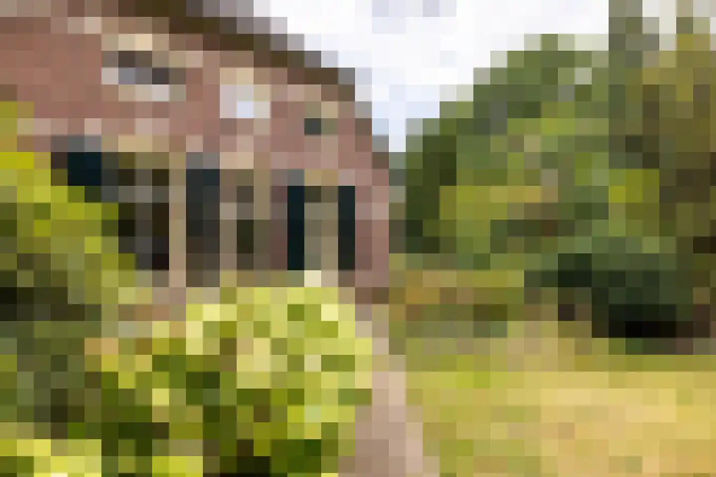 Loolaan 2 Doetinchem thumbnail 51