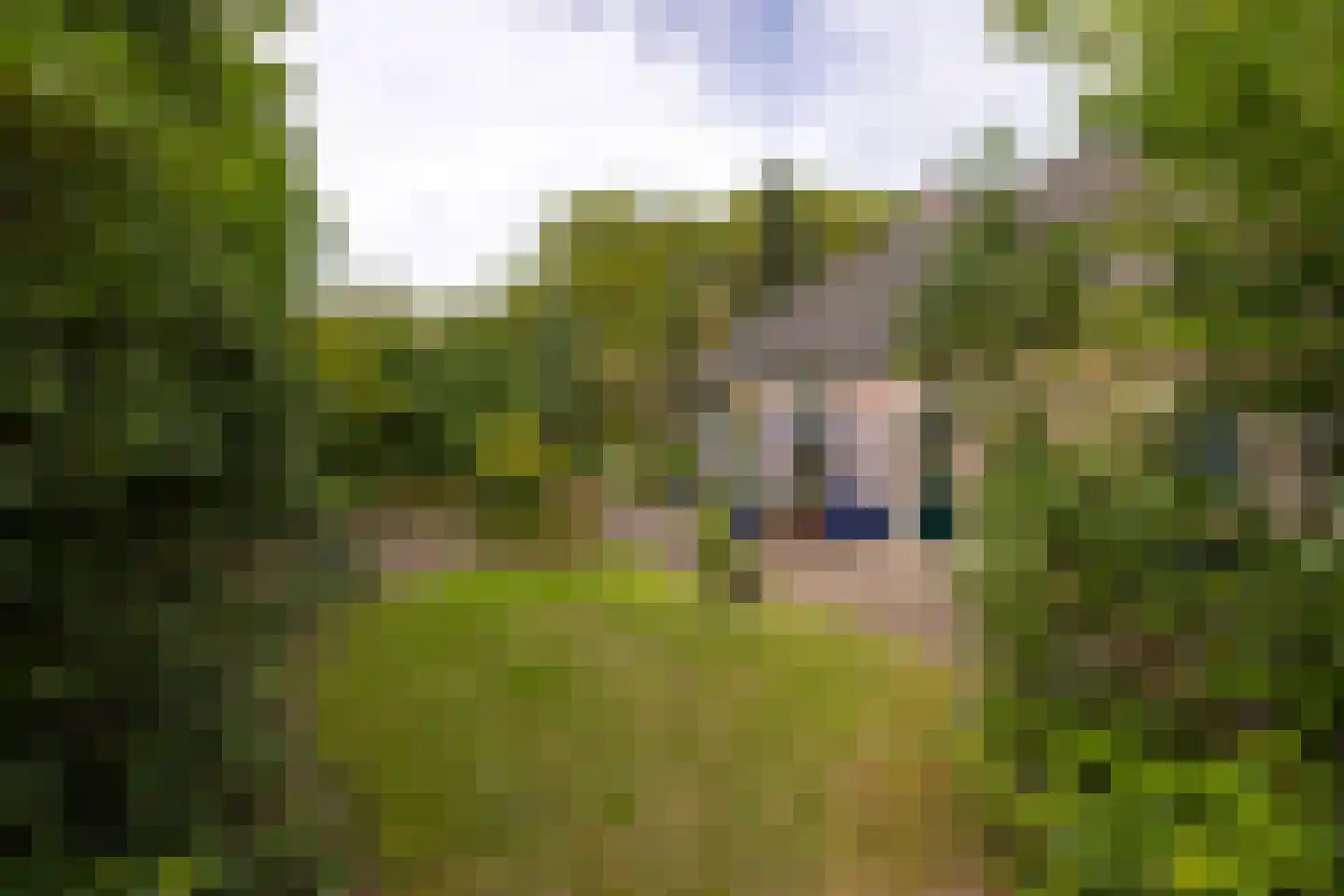 Loolaan 2 Doetinchem thumbnail 55