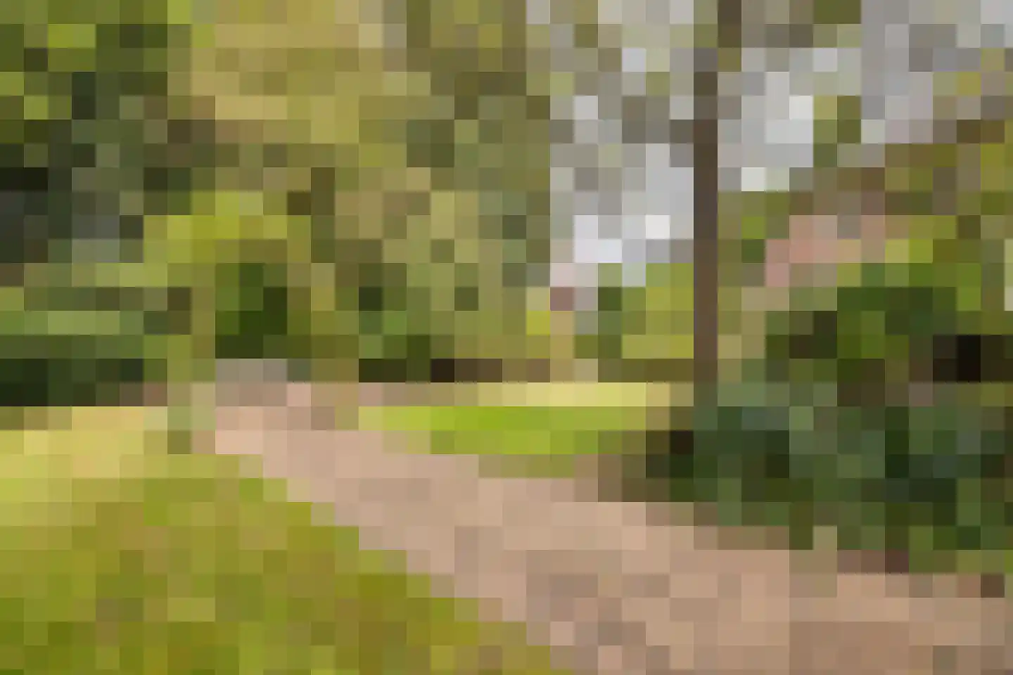 Loolaan 2 Doetinchem thumbnail 56