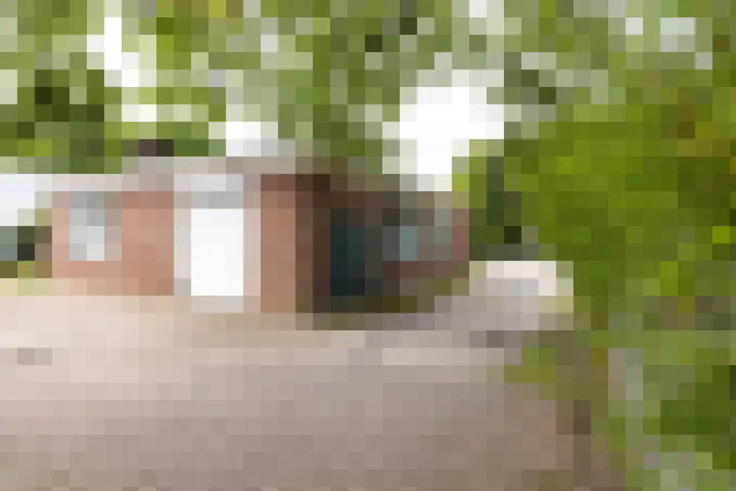 Loolaan 2 Doetinchem thumbnail 61