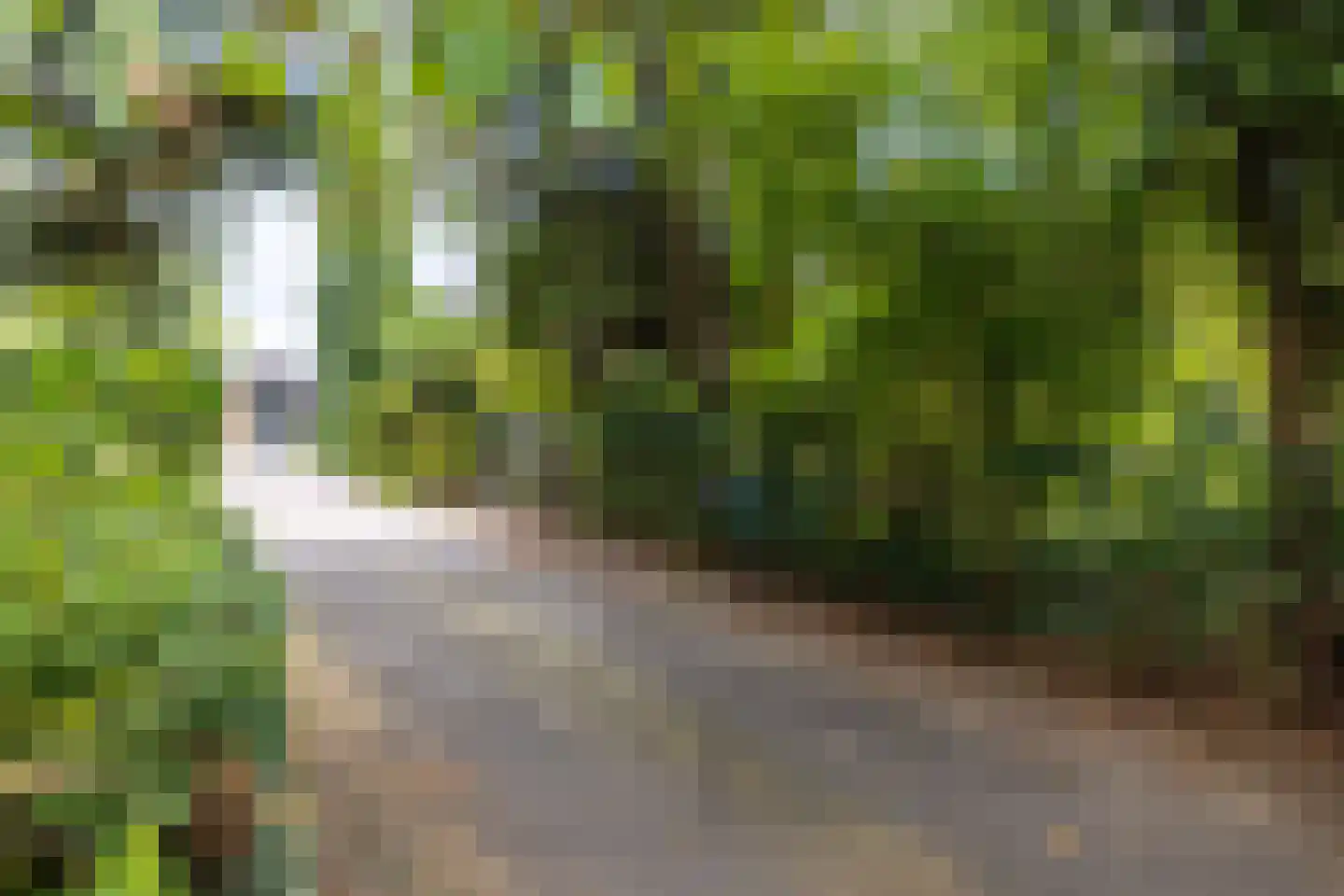 Loolaan 2 Doetinchem thumbnail 62