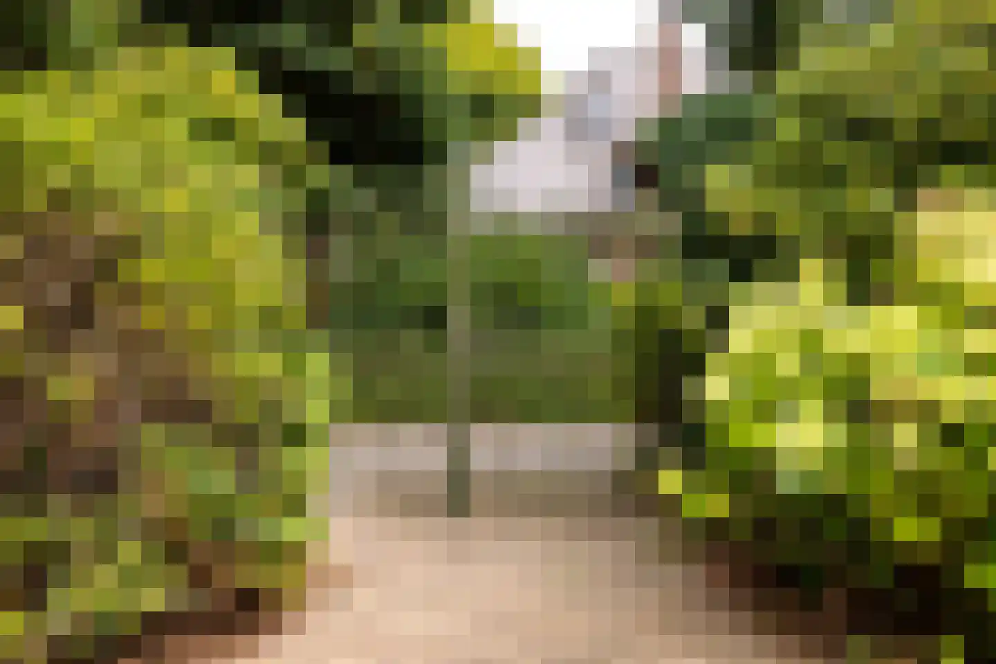 Loolaan 2 Doetinchem thumbnail 63