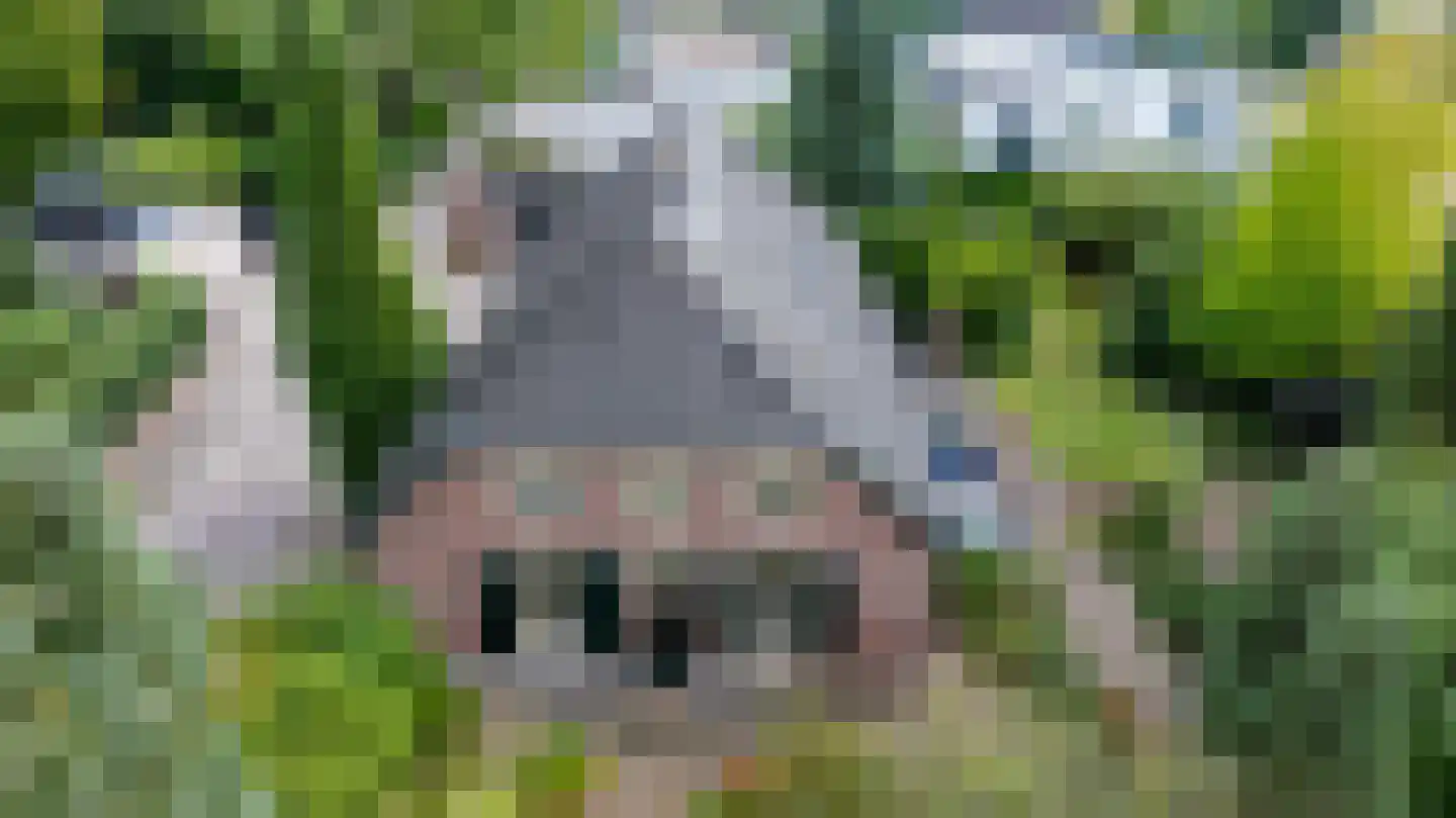 Loolaan 2 Doetinchem thumbnail 64