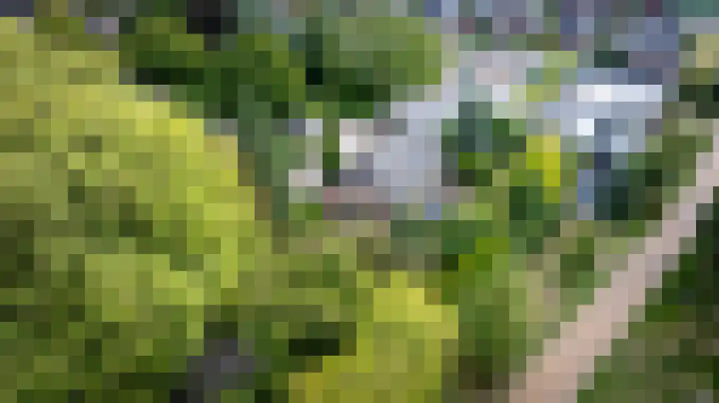 Loolaan 2 Doetinchem thumbnail 68