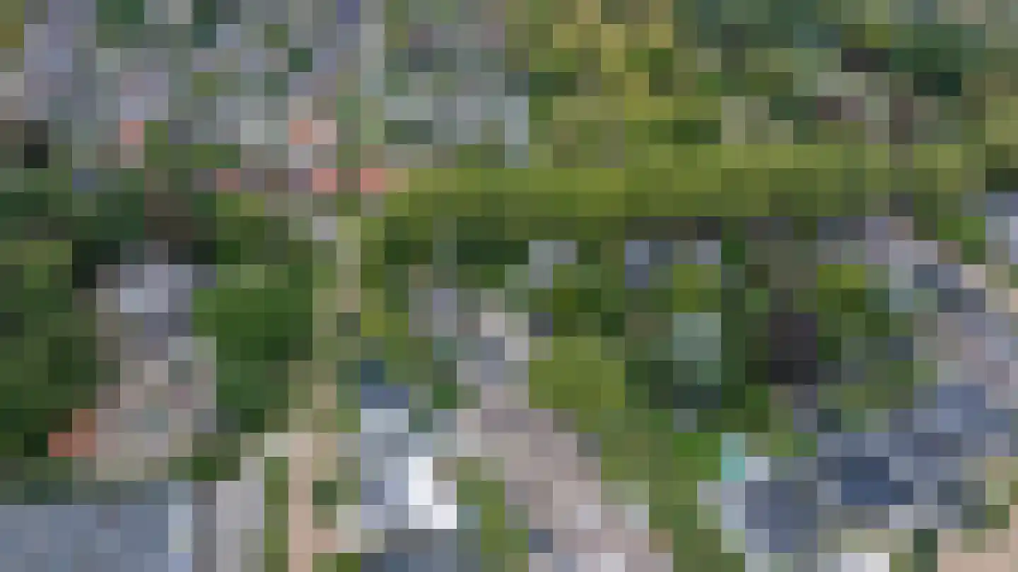 Loolaan 2 Doetinchem thumbnail 71