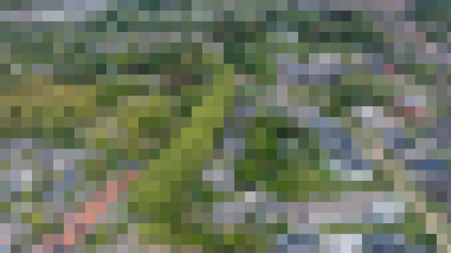 Loolaan 2 Doetinchem thumbnail 72