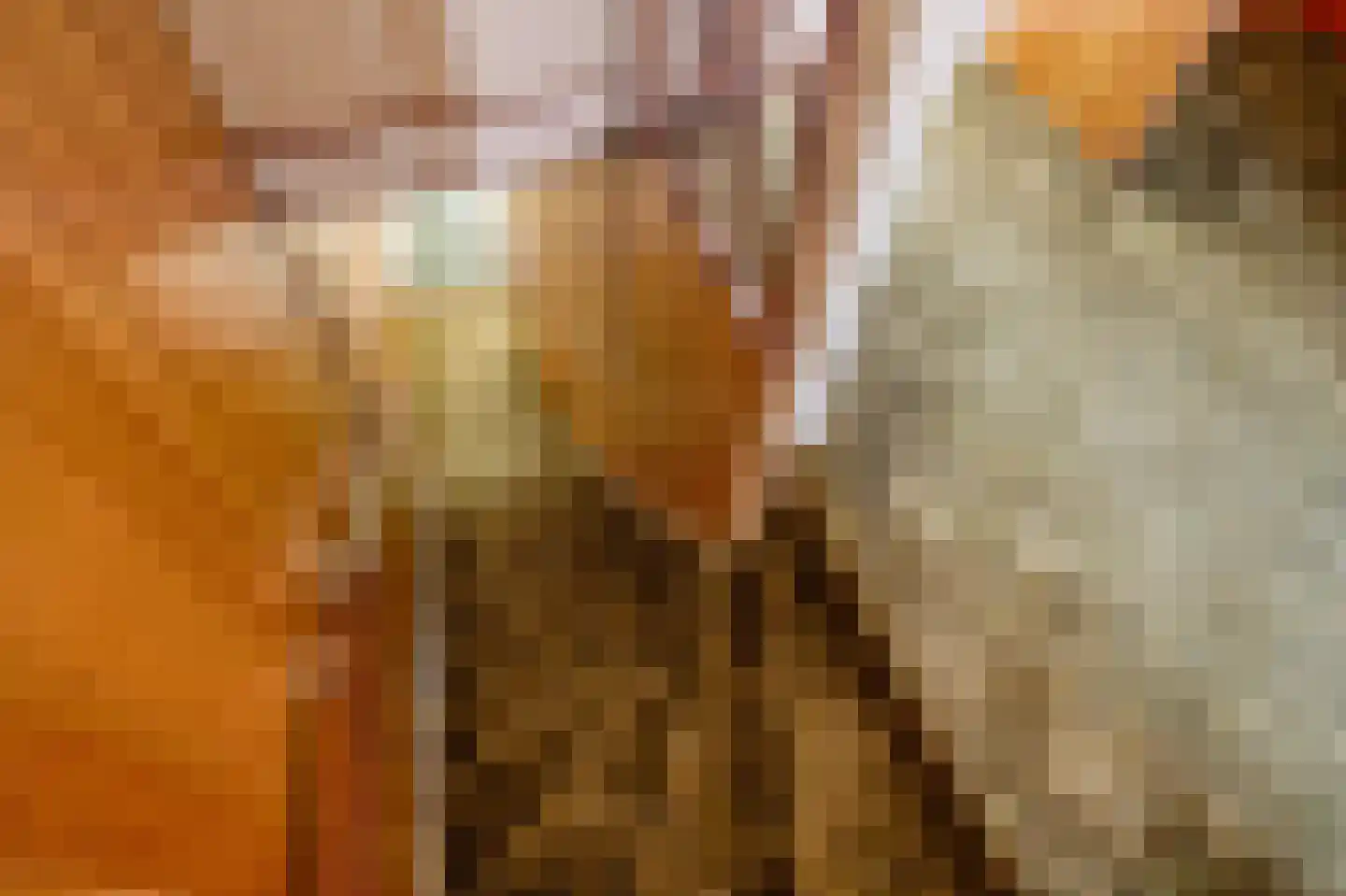 Loolaan 21 C Voorburg thumbnail 26