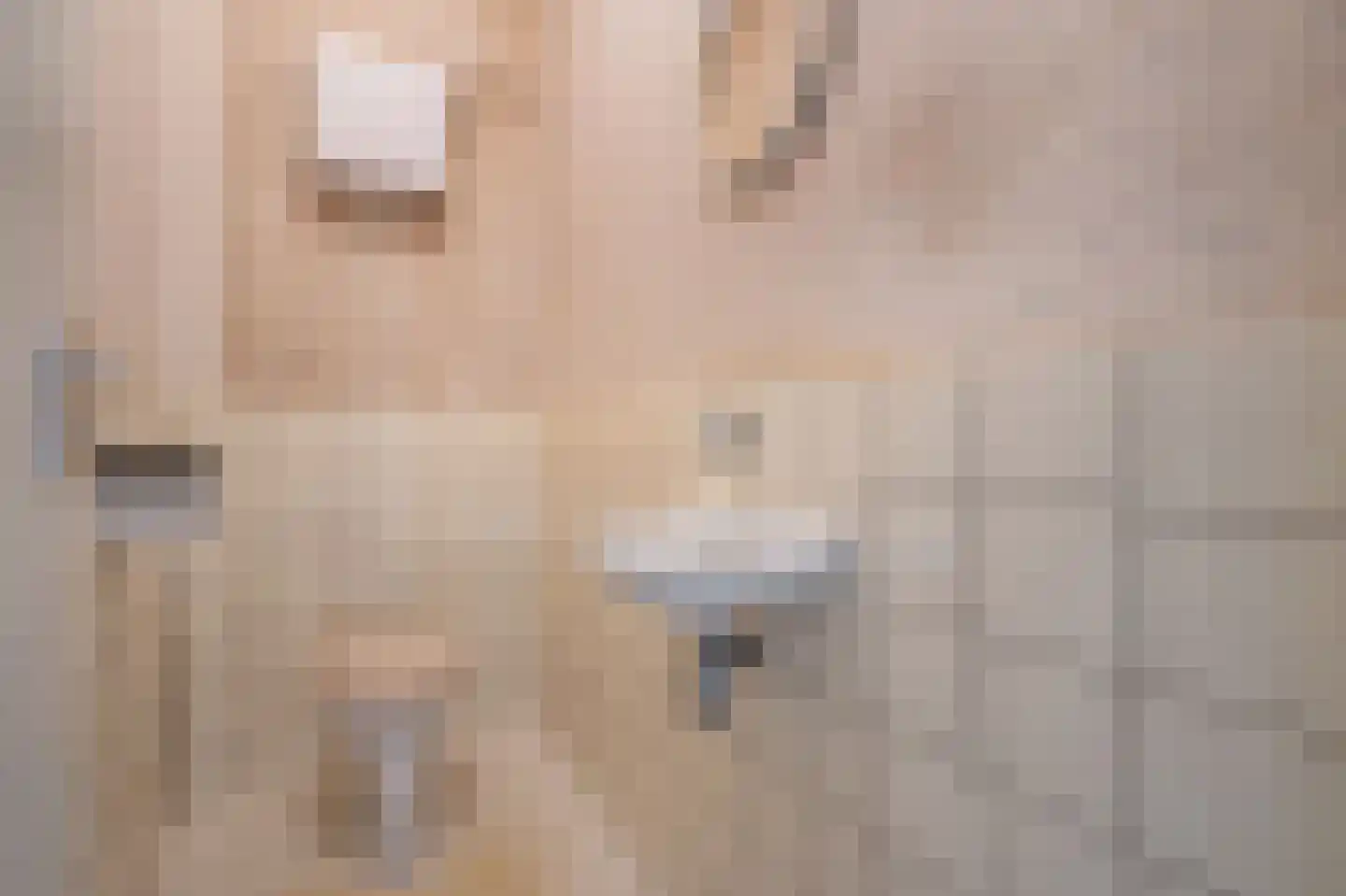Loolaan 21 C Voorburg thumbnail 40